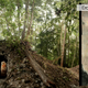 Illustration for article titled This is the oldest Maya Calendar Ever Discovered
